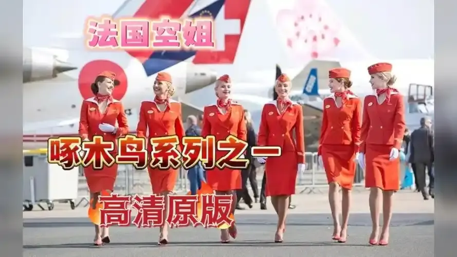 《法国空姐4》资源下载-超高清完整版在线观看-法国空姐4免费播放-法版空姐全季无卡顿4K